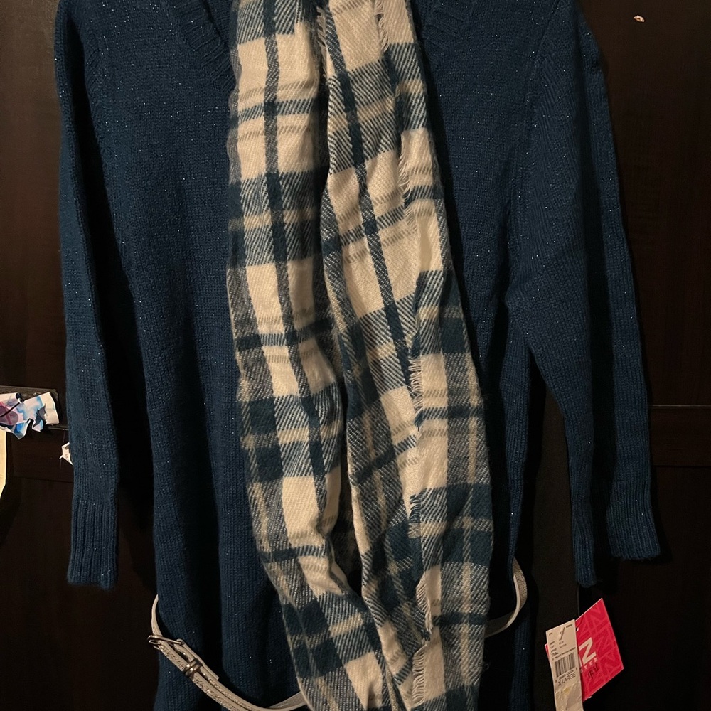 Iz Byer Blue V-Neck Sweater